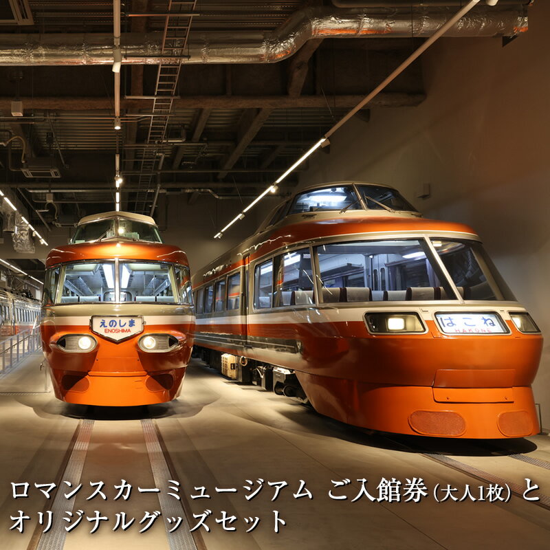 ロマンスカーミュージアム　ご入館券（大人1枚）とオリジナルグッズセット【 チケット 体験 鉄道ミュージアム 神奈川県 海老名市 】