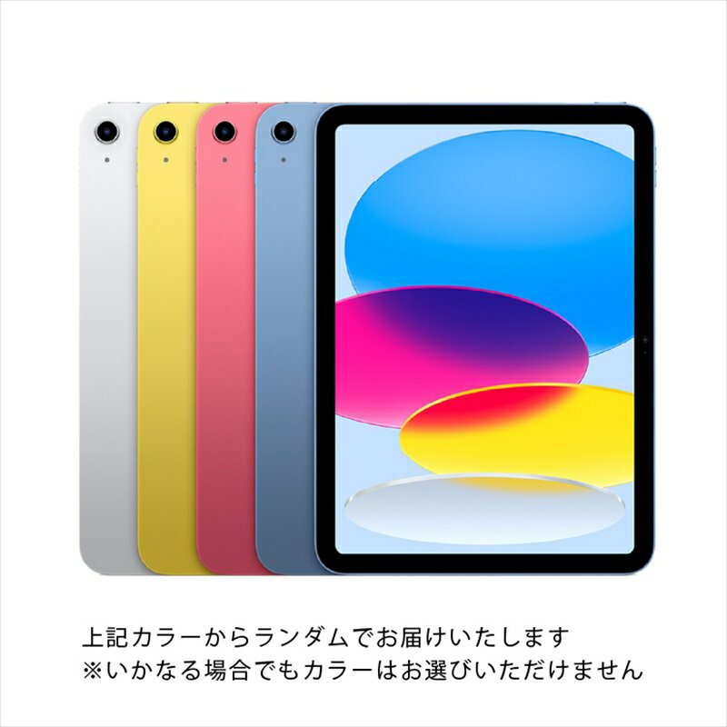【ふるさと納税】【数量限定品】iPad 第10世代 Wi-Fiモデル シルバー/ブルー/ピンク/イエロー 64GB 【中古再生品】【Apple アップル アイパッド 家電 神奈川県 海老名市 】 サムネイル2