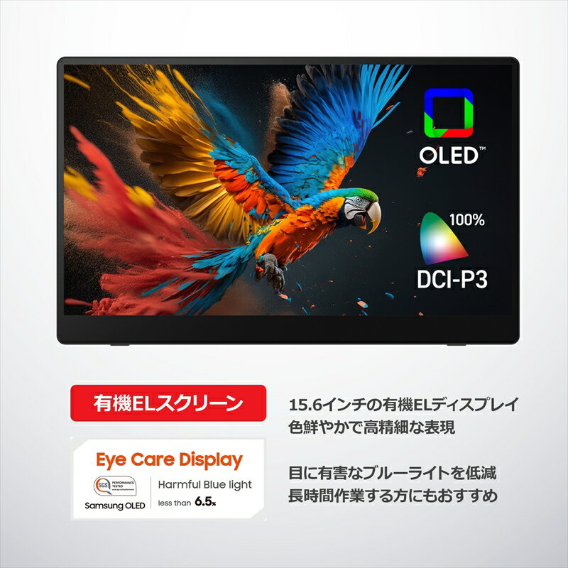 【ふるさと納税】バッテリー内蔵15.6インチ有機ELポータブルタッチディスプレイ。ワイヤレス＆USB接続タイプ。RICOH Light Monitor 150BW＜出荷時期：2025年11月中旬以降、順次発送＞【 リコー モニター 神奈川県 海老名市 】 サムネイル2