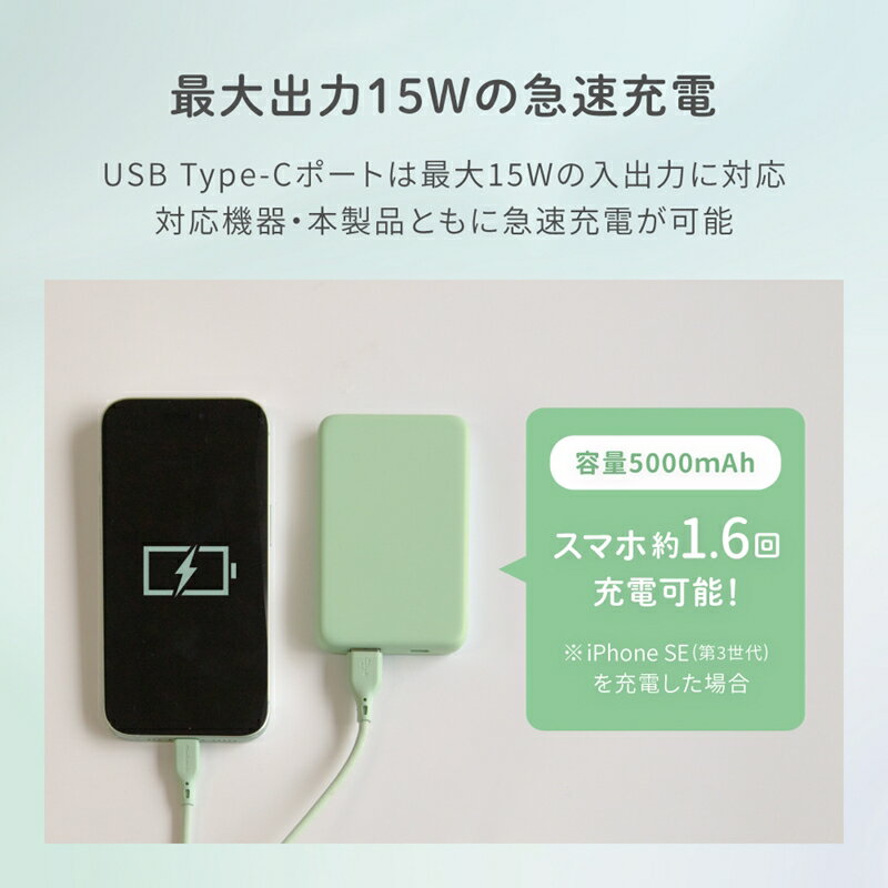 【ふるさと納税】Type-C 入力&出力対応で軽量110g 5000mAh 小型軽量モバイルバッテリー OWL-LPB5012【 ガジェット 海老名市 】 サムネイル3