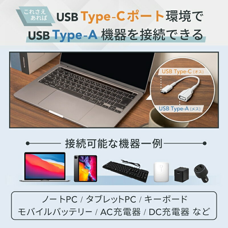 【ふるさと納税】 Type-Cポート(メス)をType-Aポート(メス)にお手軽変換 USBType-C to USB Type-A変換ケーブル OWL-CBCMAF2-WH【 ガジェット 海老名市 】 サムネイル2