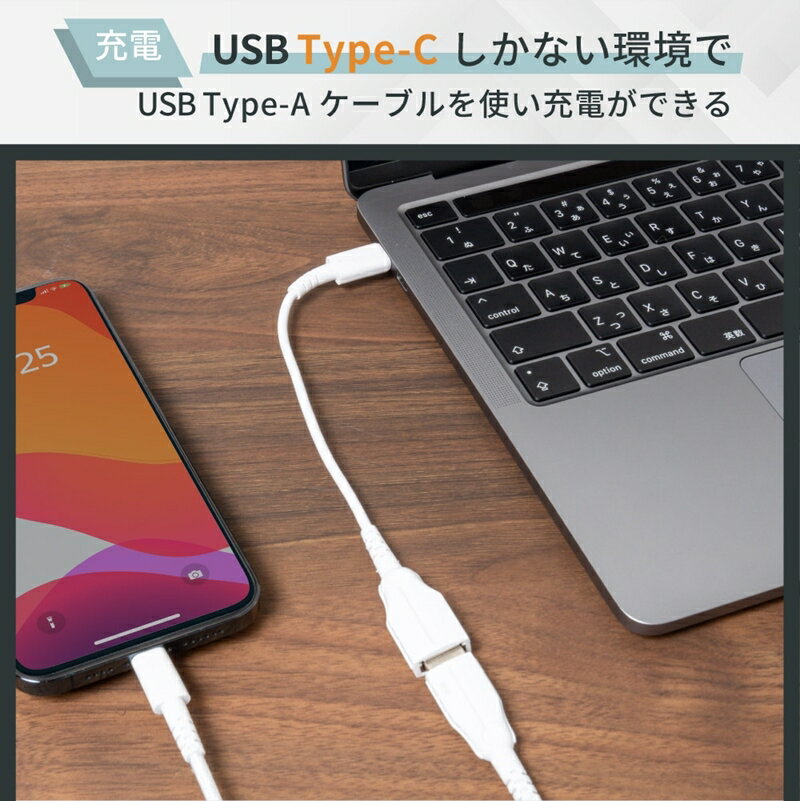 【ふるさと納税】 Type-Cポート(メス)をType-Aポート(メス)にお手軽変換 USBType-C to USB Type-A変換ケーブル OWL-CBCMAF2-WH【 ガジェット 海老名市 】 サムネイル3