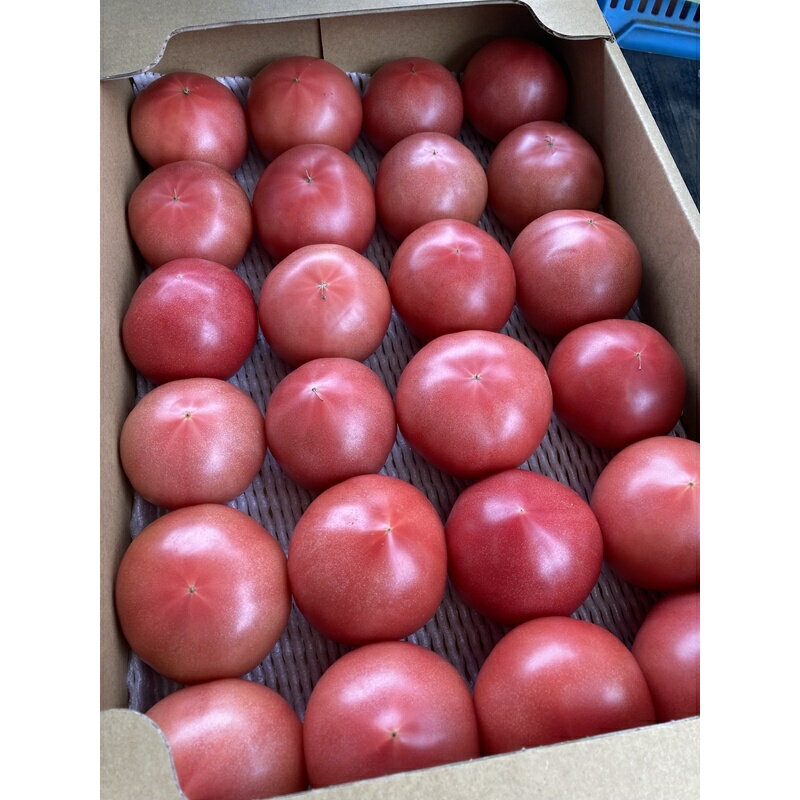 【ふるさと納税】★2026年収穫分　数量限定　先行予約★海老名のトマト農家の桃太郎トマト　4kg（24玉）〈出荷時期：2026年5月15日～2026年6月15日〉【 トマト 神奈川県 海老名市 】 - 画像3