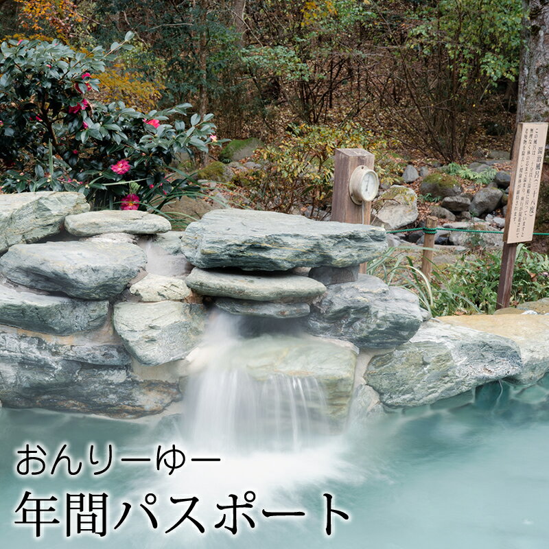 ★レビューキャンペーン実施中★おんりーゆー 年間パスポート【温泉 サウナ お風呂 結婚記念日 敬老の日 ギフト プレゼント 利用券 神奈川県 南足柄市 】