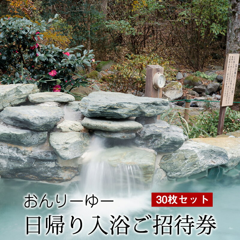 ★レビューキャンペーン実施中★おんりーゆー 日帰り入浴ご招待券 30枚セット【温泉 サウナ お風呂 結婚記念日 敬老の日 ギフト プレゼント 利用券 神奈川県 南足柄市 】