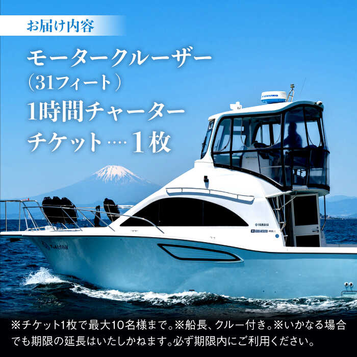 【ふるさと納税】【葉山マリーナ】チャータークルーズチケット（10名様分） ／ モータークルーザー 船 乗船券 神奈川県【(株)葉山マリーナー】[ASAV001] サムネイル3