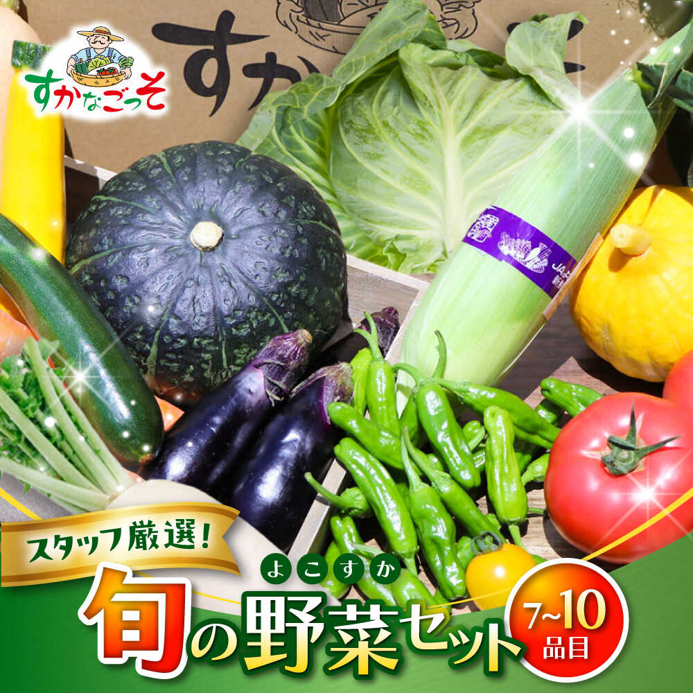 よこすか野菜セット すかなボックス / 野菜 やさい 野菜ボックス 野菜セット 野菜詰め合わせ 野菜BOX 【JAよこすか葉山】[ASCB001] 1万円 10000円 1万円以下 10000円以下