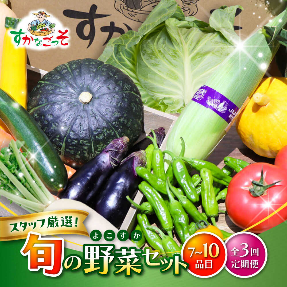 【全3回定期便】よこすか野菜セット すかなボックス / 野菜 やさい 野菜ボックス 野菜セット 野菜詰め合わせ 野菜BOX 【JAよこすか葉山】[ASCB002]