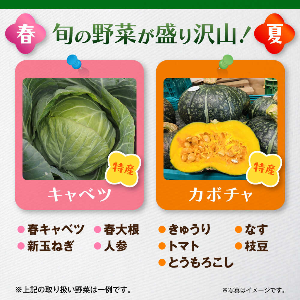 【ふるさと納税】【全6回定期便】よこすか野菜セット すかなボックス / 野菜 やさい 野菜ボックス 野菜セット 野菜詰め合わせ 野菜BOX 【JAよこすか葉山】[ASCB003] - 画像3
