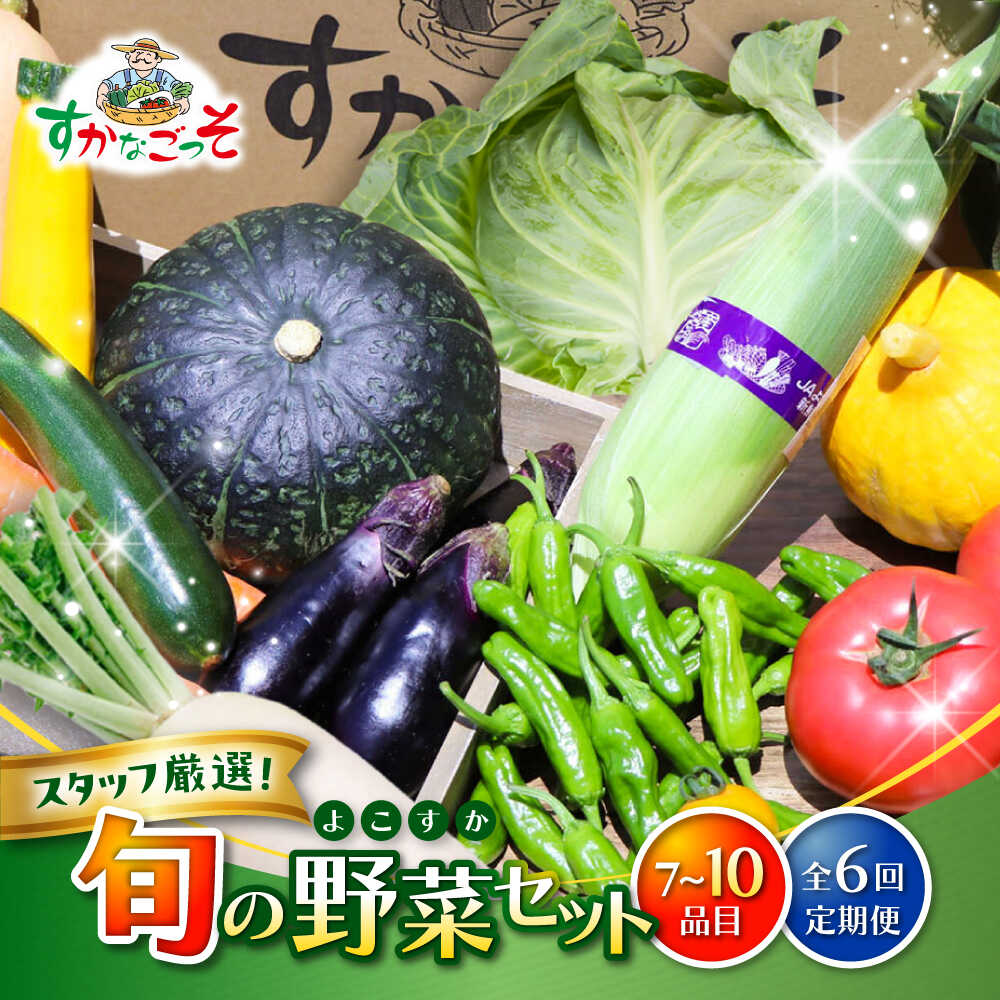 【全6回定期便】よこすか野菜セット すかなボックス / 野菜 やさい 野菜ボックス 野菜セット 野菜詰め合わせ 野菜BOX 【JAよこすか葉山】[ASCB003]