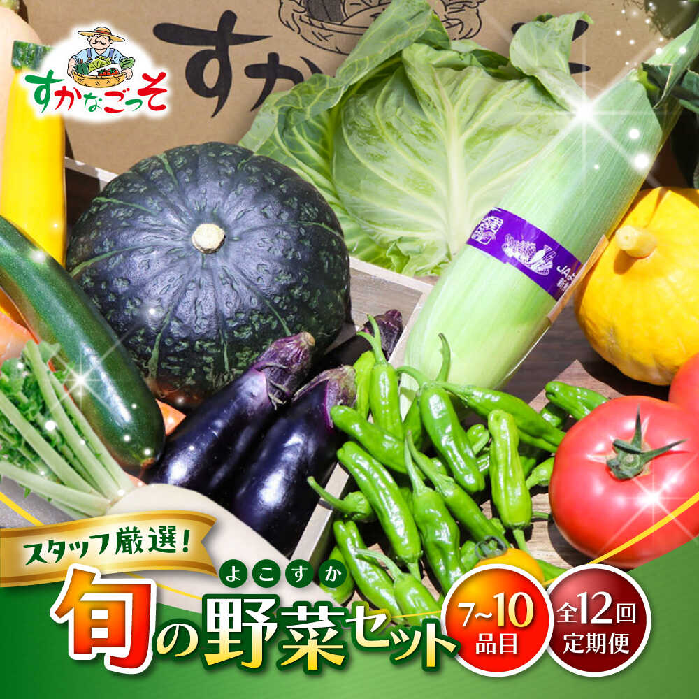 【全12回定期便】よこすか野菜セット すかなボックス / 野菜 やさい 野菜ボックス 野菜セット 野菜詰め合わせ 野菜BOX【JAよこすか葉山】[ASCB004]