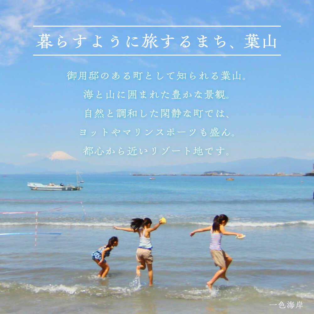 【ふるさと納税】神奈川県葉山町の対象施設で使える 楽天トラベルクーポン 寄付額 100,000円 高額[ASCF007] - 画像2