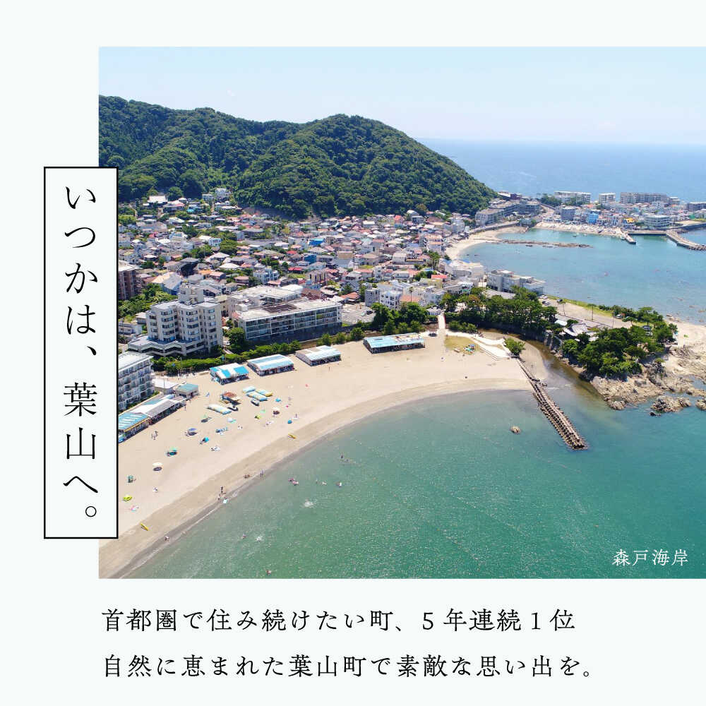 【ふるさと納税】神奈川県葉山町の対象施設で使える 楽天トラベルクーポン 寄付額 100,000円 高額[ASCF007] - 画像3
