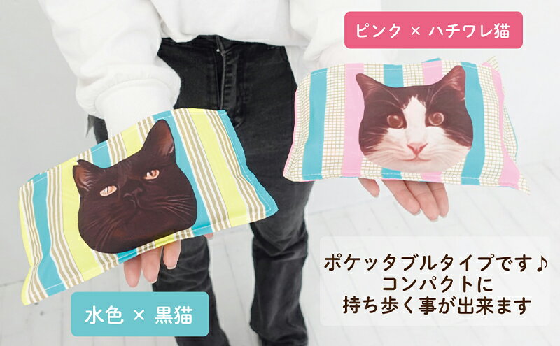 【ふるさと納税】Nonbillie のんびりー　オリジナル　エコバッグ　ストライプ柄A ブルーボーダー×黒猫　【保護猫活動支援】ハチワレ　寒川町　保護猫　地域猫　TNR活動支援 サムネイル2