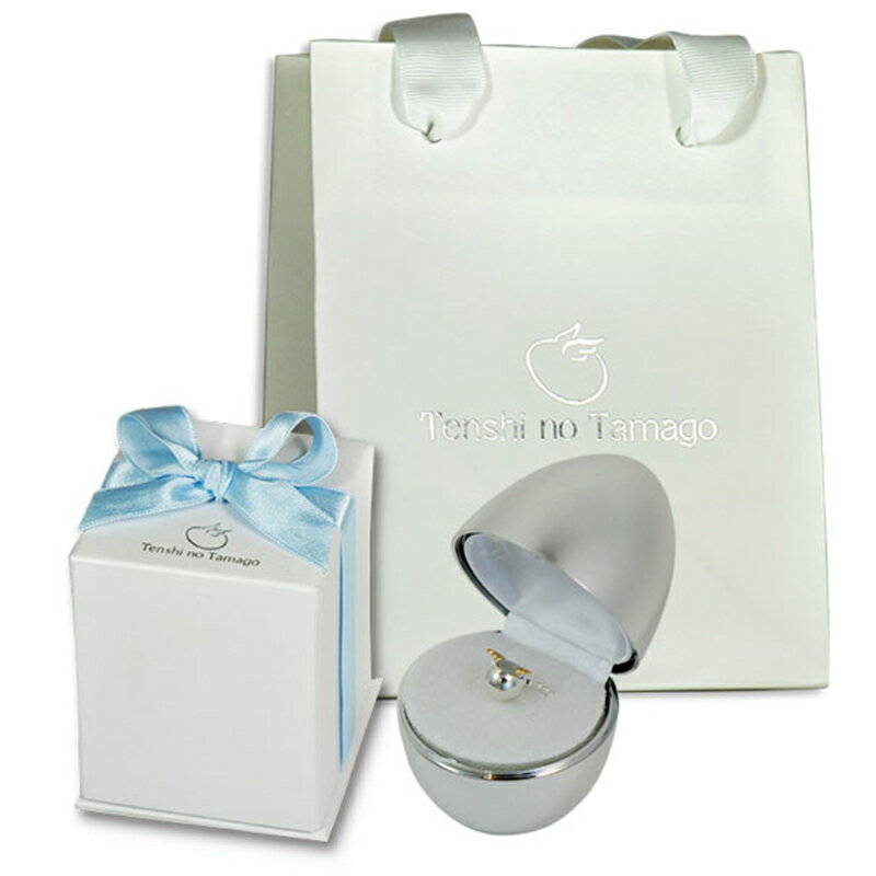 【ふるさと納税】天使の卵 シルバーネックレス（小） アクセサリー【 神奈川県 大磯町 ネックレス レディースジュエリー ファッション小物 スタンダード シルバー 誕生日 お祝い ギフト 贈り物 ファッションペンダント エレガント 羽K18YG】 サムネイル3