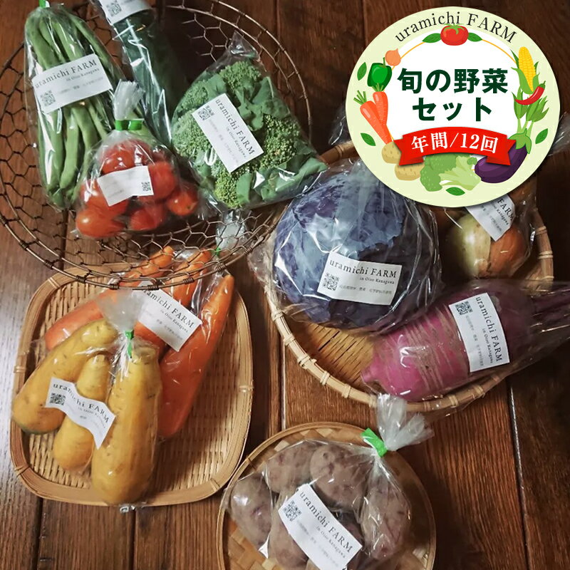 【定期便12回】旬の野菜セット（年間/12回）【 神奈川県 大磯町 季節野菜セット 新鮮野菜 大磯グルメ 】