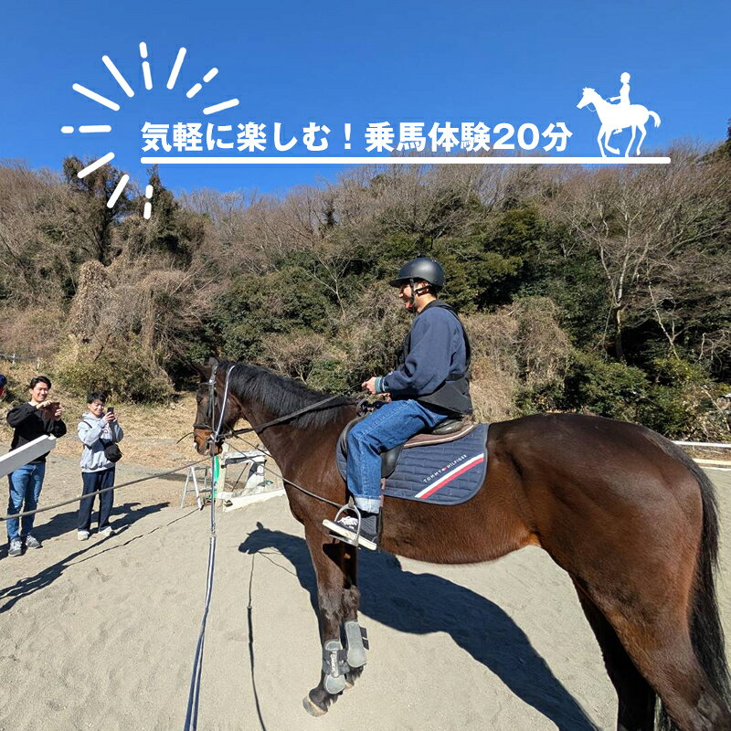 気軽に楽しむ！乗馬体験20分【 体験 レッスン 神奈川県 大磯町 】