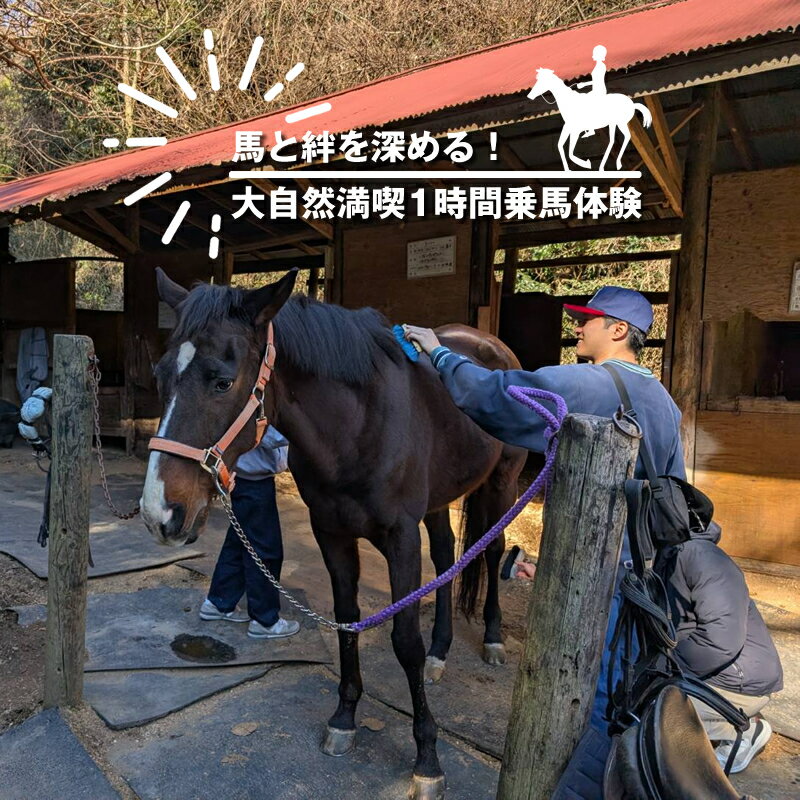 馬と絆を深める！大自然満喫1時間乗馬体験【 体験 レッスン 神奈川県 大磯町 】
