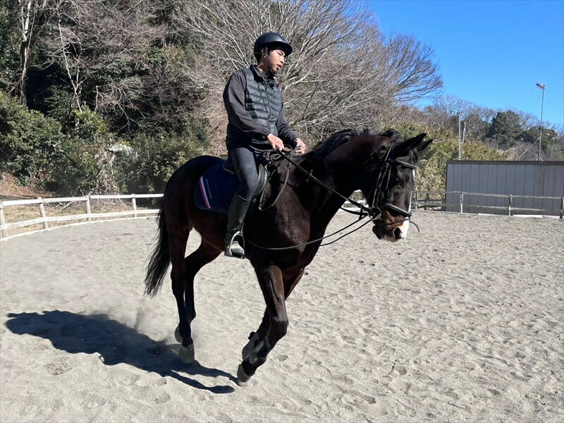 【ふるさと納税】馬と絆を深める！大自然満喫1時間乗馬体験【 体験 レッスン 神奈川県 大磯町 】 サムネイル2