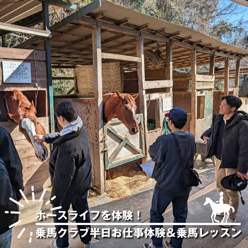 ホースライフを体験！乗馬クラブ半日お仕事体験＆乗馬レッスン【 体験 レッスン 神奈川県 大磯町 】