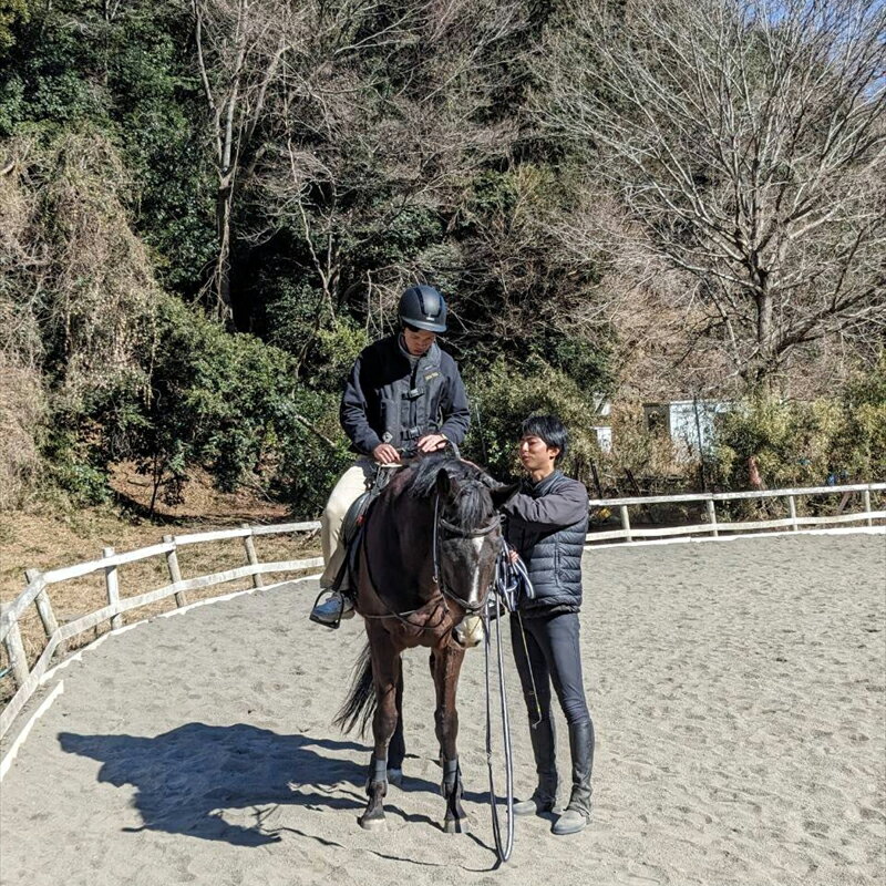 【ふるさと納税】ホースライフを体験！乗馬クラブ半日お仕事体験＆乗馬レッスン【 体験 レッスン 神奈川県 大磯町 】 サムネイル2