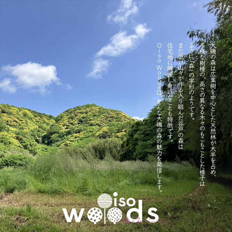 【ふるさと納税】大磯の森ロゴTシャツ　XLサイズ（アーシー×パープル）・大磯の森染め手拭い セット　 大磯の森ステッカーつき【 Tシャツ 神奈川県 大磯町 】 サムネイル2