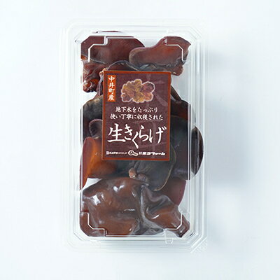 【ふるさと納税】井戸水を使って作られた生きくらげ　約1.2kg(約200g×6p)【配送不可地域：離島】【1139807】 - 画像2