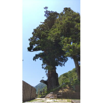 【ふるさと納税】【大自然の中でグランピング体験】箒沢荘グランピングエリア「杢」1泊2食付きペアチケット【1244957】 - 画像2