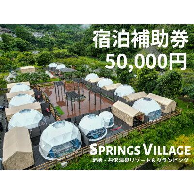 SPRINGS VILLAGE 足柄丹沢温泉リゾート&グランピング 宿泊補助券 50,000円【1480507】