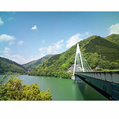 【ふるさと納税】【丹沢湖畔の蕎麦宿　落合館】一泊二食付き宿泊券　丹沢湖畔でのんびり過ごす休日　4名様【1520885】 - 画像2