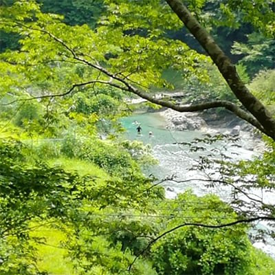 【ふるさと納税】【大自然満喫】山里古民家「箒沢荘」で濃厚田舎体験　民宿1泊2食付きペアチケット【1058930】 サムネイル2