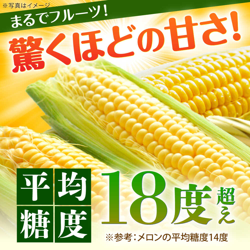 【ふるさと納税】【先行予約】ゴールドラッシュ とうもろこし10本【遠藤ファーム】 人気 キャンプ BBQ とうきび 生 野菜 トウモロコシ スイートコーン コーン[BDAF004] - 画像2