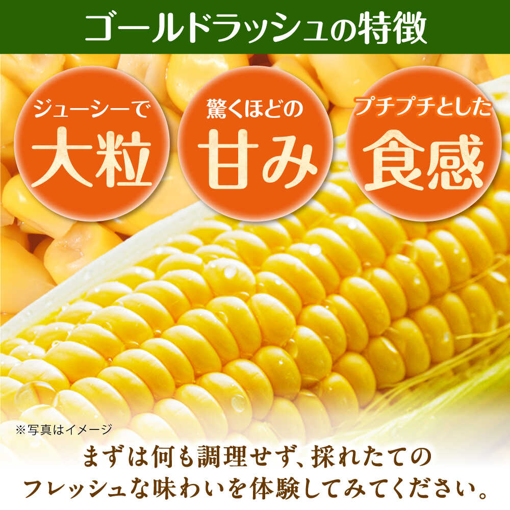 【ふるさと納税】【先行予約】ゴールドラッシュ とうもろこし10本【遠藤ファーム】 人気 キャンプ BBQ とうきび 生 野菜 トウモロコシ スイートコーン コーン[BDAF004] - 画像3
