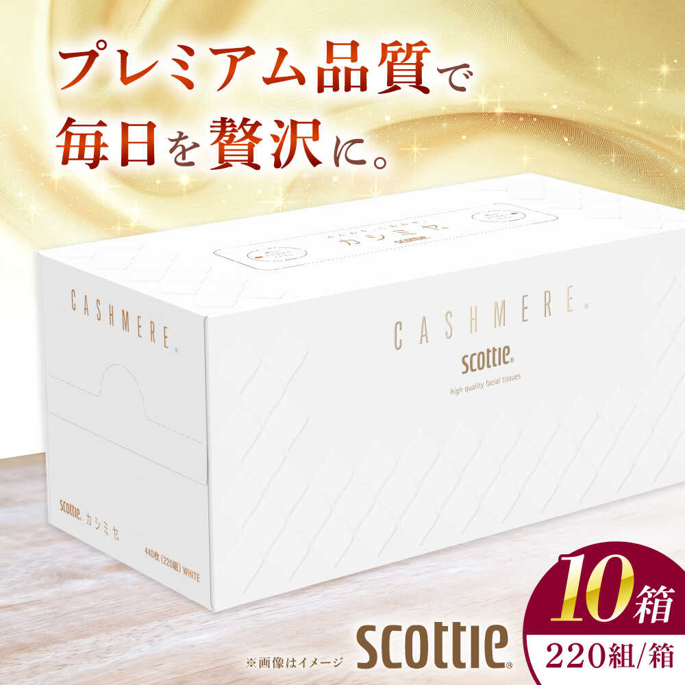 K03 クレシアギフト カシミヤ スコッティ 10箱 ティッシュ ペーパー【日本製紙クレシア株式会社】開成町 ティッシュ ティッシュペーパー ボックスティッシュ 日用品 国産 新生活 備蓄 防災 消耗品 生活用品 まとめ買い [BDAM020]