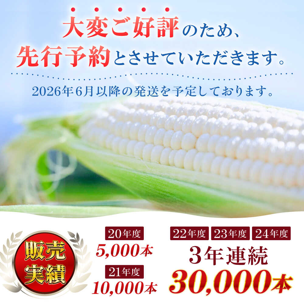 【ふるさと納税】【先行予約】【数量限定】白いとうもろこし ホワイトショコラ 5本【文命農業】開成町 野菜 とうもろこし トウモロコシ ホワイトショコラ[BDAX001] - 画像2