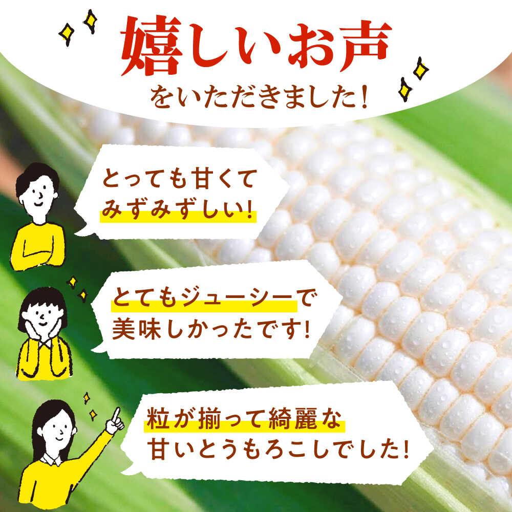 【ふるさと納税】【先行予約】【数量限定】白いとうもろこし ホワイトショコラ 5本【文命農業】開成町 野菜 とうもろこし トウモロコシ ホワイトショコラ[BDAX001] - 画像3