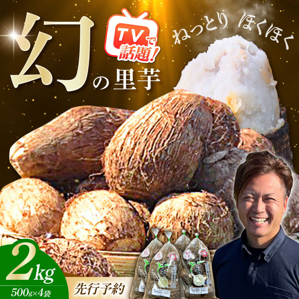 【先行予約】【メディア多数掲載！開成弥一芋】ホクホクねっとりやわらか〜い里芋 2キロ【文命農業】開成町 サトイモ さといも 野菜[BDAX002]