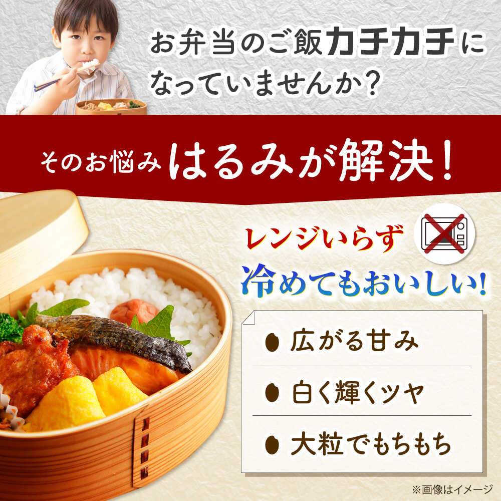 【ふるさと納税】選べる容量！【令和7年産】はるみ 3kg 5kg 10kg 20kg【井上農園】 米 お米 精米 白米 はるみ おこめ はくまい 令和7年産 開成町 神奈川県【特Aランク受賞実績あり！】[BDBB001] - 画像2