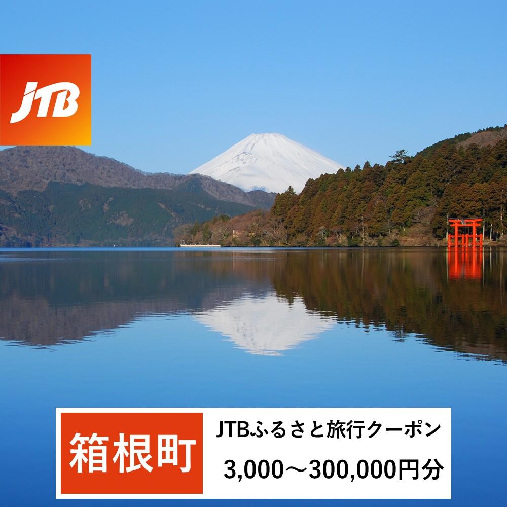 【箱根町】JTBふるさと旅行クーポン（Eメール発行）（3,000円分～300,000円分） | 旅行 観光 旅行券 旅行クーポン クーポン 箱根町ふるさと納税 神奈川県ふるさと納税 神奈川県 箱根町
