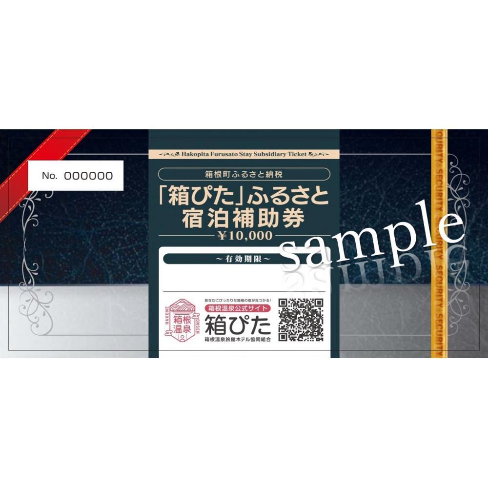 （20,000円分～300,000円分）【箱根町】箱ぴたふるさと宿泊補助券 | 旅行 観光 旅行券 旅行クーポン クーポン 箱根町ふるさと納税 神奈川県ふるさと納税 神奈川県 箱根町
