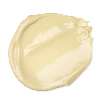 【ふるさと納税】LUSH ラッシュ ドリームクリーム SP 240g【1344373】 サムネイル2