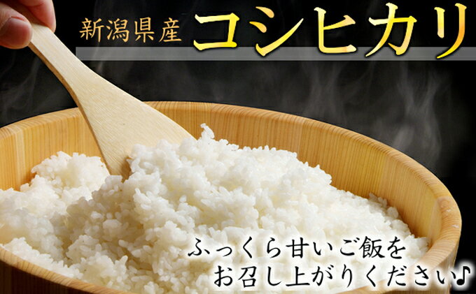 【ふるさと納税】カガヤキ農園 新潟県産 特別栽培米 コシヒカリ 5kg 米 精米 白米 こめ コメ お米 おこめ こしひかり 新潟 新潟県特別栽培農産物認証取得 新潟県 - 画像2