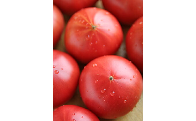 【ふるさと納税】トマト 大玉系 約4kg 23～24玉 （ にごりかわトマト または 豊栄トマト） とまと 野菜 新鮮 産地直送 新潟県産 新潟市産 期間限定 　お届け：2026年6月上旬～6月下旬 - 画像3