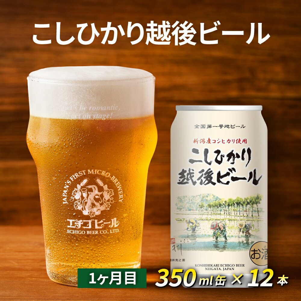 【ふるさと納税】【定期便3ヶ月】エチゴビール【1ヶ月目】こしひかり越後ビール350ml缶×12本【2ヶ月目】のんびりふんわり白ビール350ml缶×12本【3ヶ月目】エレガントブロンド350ml缶×12本 ビール 350ml 12本 酒 クラフトビール 3回 お楽しみ サムネイル3