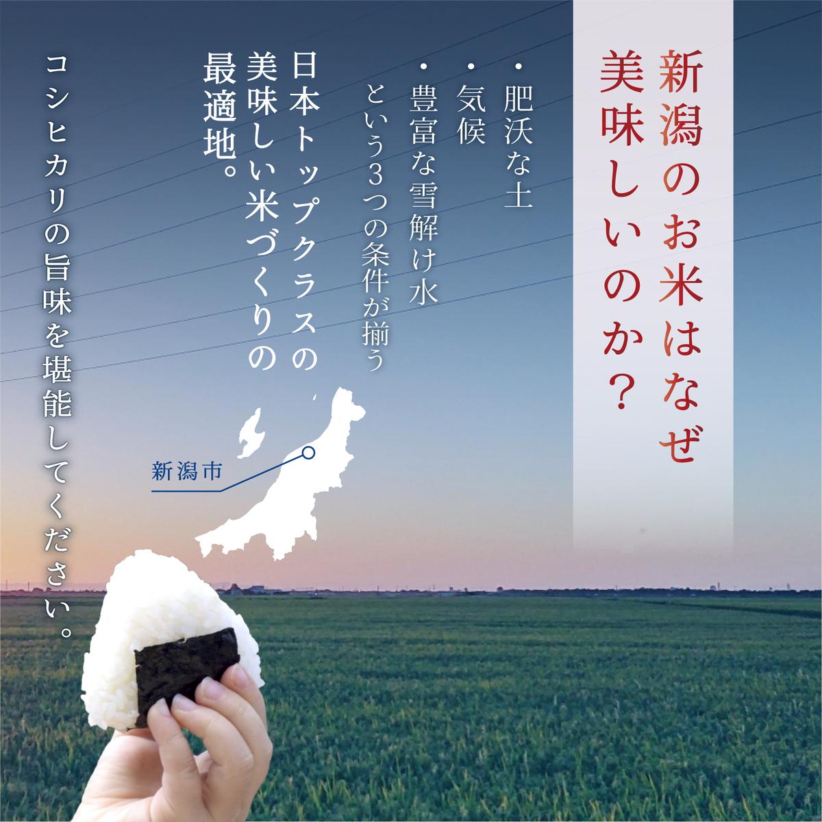 【ふるさと納税】【定期便】新潟産コシヒカリ5kg×3回 3ヶ月　お届け：寄附確認月の翌月より発送 - 画像3