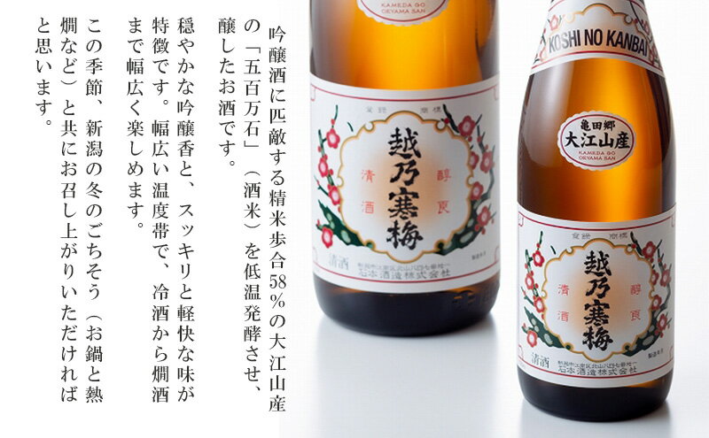 【ふるさと納税】越乃寒梅　大江山産普通酒720ml　2本 お酒 日本酒 家飲み 宅飲み 飲み会 アルコール 晩酌 父の日 穏やかな香り 柔らかい口当たり 　お届け：寄付確認後、随時発送 サムネイル3