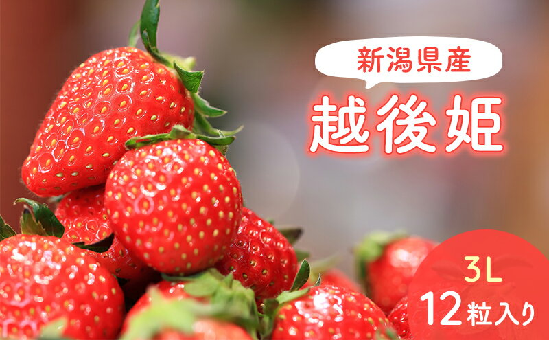 【ふるさと納税】【予約受注】2025年2月下旬より発送新潟県産越後姫3L　12粒入り 　お届け：2026年2月下旬～4月中旬 サムネイル2