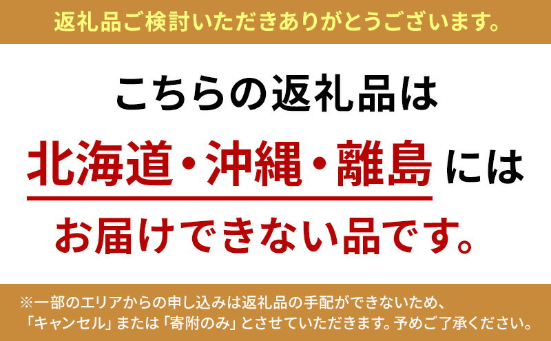 【ふるさと納税】【予約受注】2025年2月下旬より発送新潟県産越後姫3L　12粒入り 　お届け：2026年2月下旬～4月中旬 サムネイル3