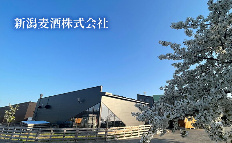 【ふるさと納税】新潟麦酒缶330ml×24本/Alc.4.5％ サムネイル3