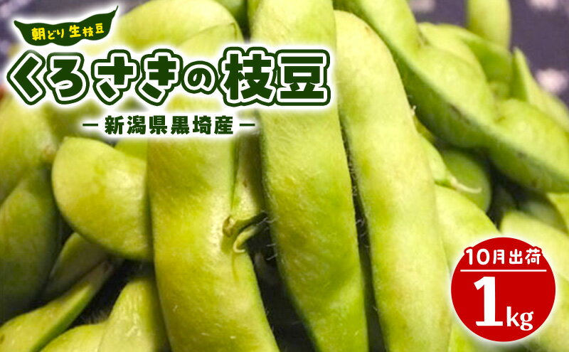 【ふるさと納税】朝どり 生枝豆 くろさきの枝豆 1kg 新潟県黒埼産 生 枝豆 えだまめ えだ豆 新潟　お届け：2026年9月下旬～10月下旬 - 画像2